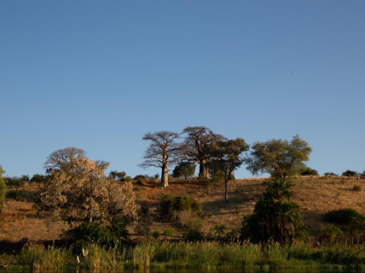 Kayova River Lodge Ndiyona Exterior foto